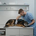 Routine Pet Checkups: Why Are They Necessary For Your Pet?