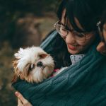 Top 10 Reasons to Board Your Fur Baby