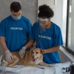 Why Timely Diagnostic Testing at Vet Labs is Crucial for Your Pet’s Health