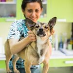 Why Is Pre-Lab Protocol Crucial Before Radio Iodine Therapy for Pets?